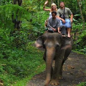Elephant Ride & Uluwatu Tour