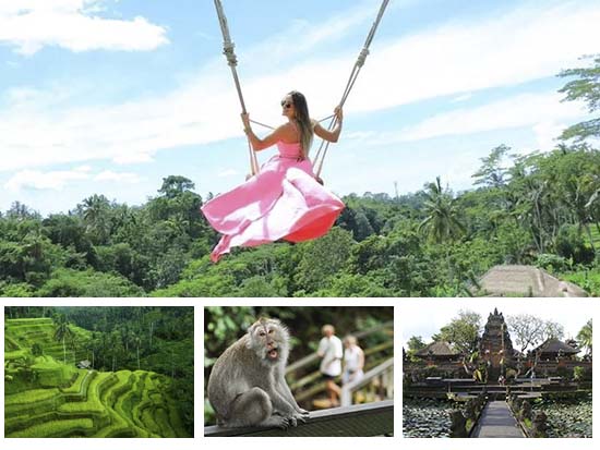 Bali Swing & Ubud Tour