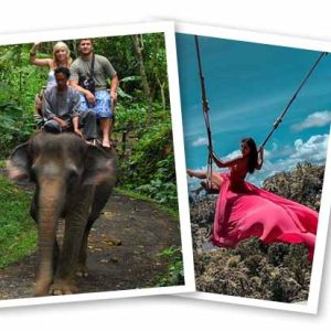 Elephant Ride & Swing Tour