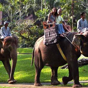 Elephant Ride & Ubud Tour