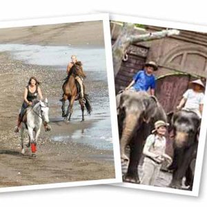 Horse Riding & Elephant Ride