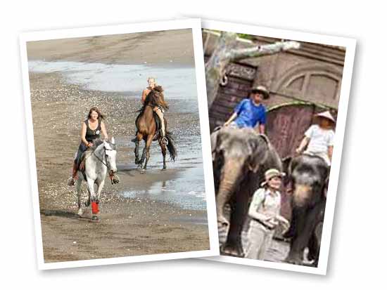 Horse Riding & Elephant Ride