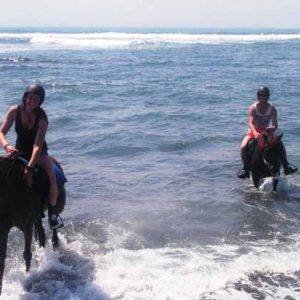 Horse Riding & Tanah Lot Tour