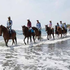 Horse Riding & Kintamani Tour