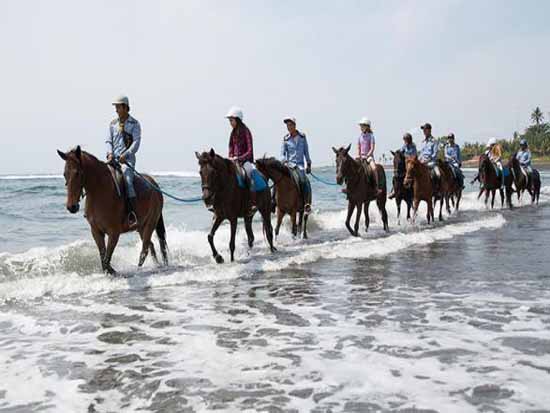 Horse Riding & Kintamani Tour