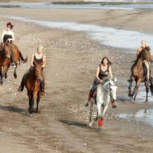 Horse Riding & Ubud Tour