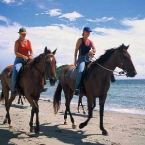 Horse Riding & Uluwatu Tour