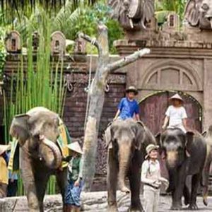 Safari Park & Kintamani Tour