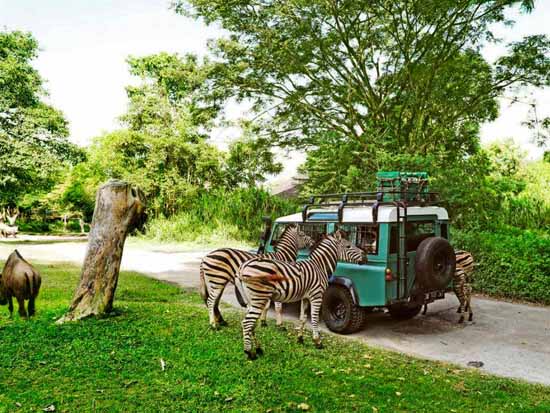 Safari Park & Uluwatu Tour